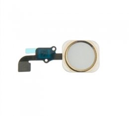 iPhone 6/6+ Hemknapp & ring med flex Guld