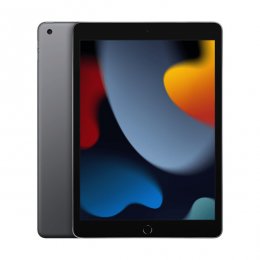 Begagnad Klass A iPad 10.2 tum Wi-Fi 64GB 9 Generation Rymdgrå