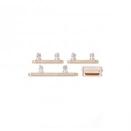 iPhone 13 Pro iPhone 13 Pro Max Sidoknappar Guld