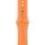 Apple Watch 45mm Sport Band - Ringblomma