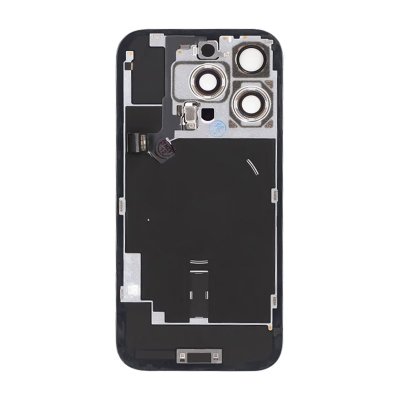 iPhone 16 Pro Baksida Glas - Naturlig Titan
