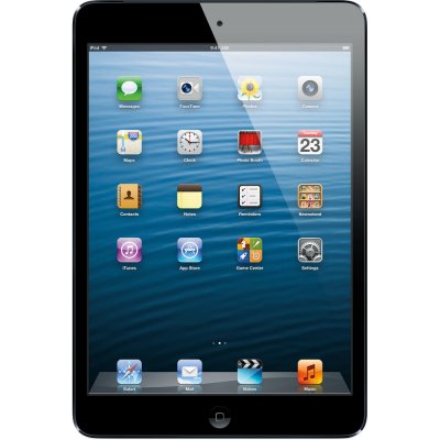 begagnad iPad mini 16GB Rymdgrå