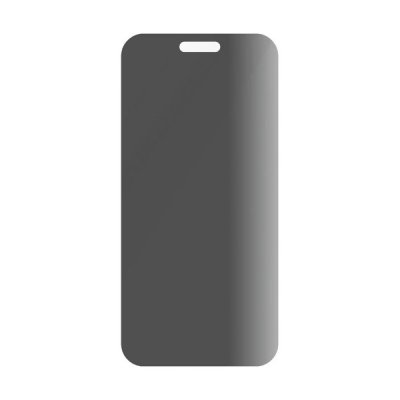 SAFE. Privacy by PanzerGlass till Apple iPhone 16 Pro Max Ultra Wide Fit