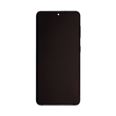 Samsung Galaxy S21 5G Skärm med LCD Display Original Grå