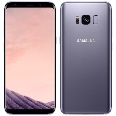 Begagnad Samsung Galaxy S8 64GB Orchid Gray